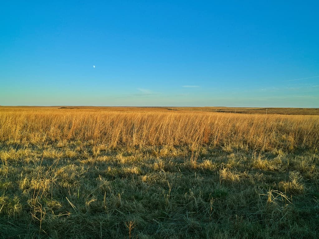 Agriculture reporting from Oklahoma